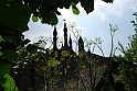 Borgo e Rocca Medioevale_118